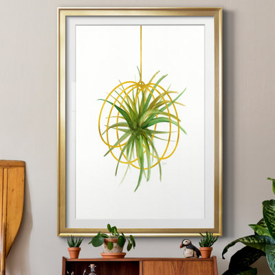 " Hanging Airplant III " Painting Print