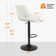 Adjustable Swivel Barstools with Backs