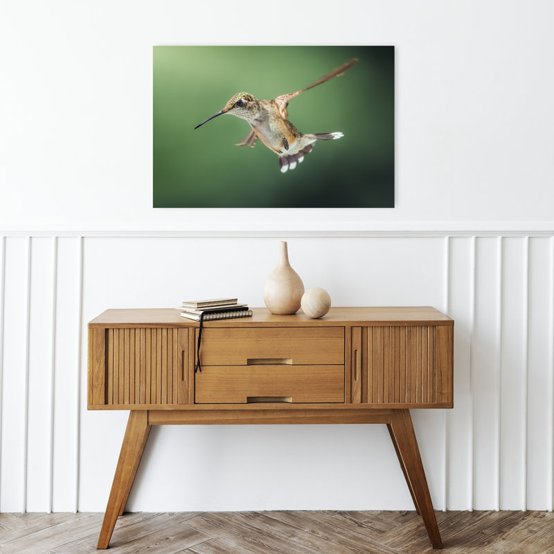 Colibri en vol, délicat, paisible et vibrant, oiseau de forêt, nature, affiche murale, H 16 po x l 24 po