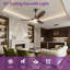 Ceiling Fan With Remote-1702050623-1710145977