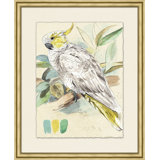 Lewin's Parrots 1 Painting