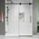 55'' - W x 66'' H Door Frameless Shower Door with