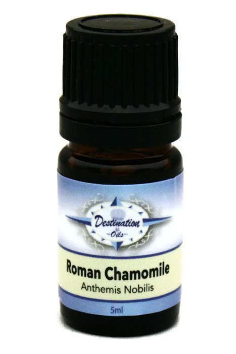 All About Roman Chamomile Essential Oil – Destination Oils