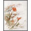 Painted Abutilon 1 Framed Print-1295587334