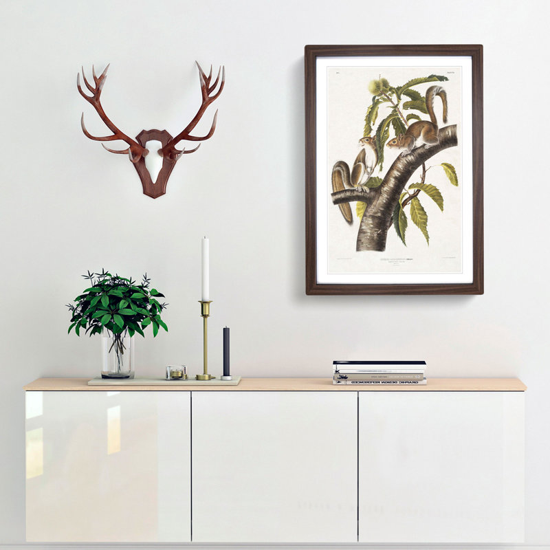 Carolina Grey Squirrels by J.W. Audubon - Picture Frame Painting Print, 48cm H x 36cm W x 2cm D, Walnut Framed