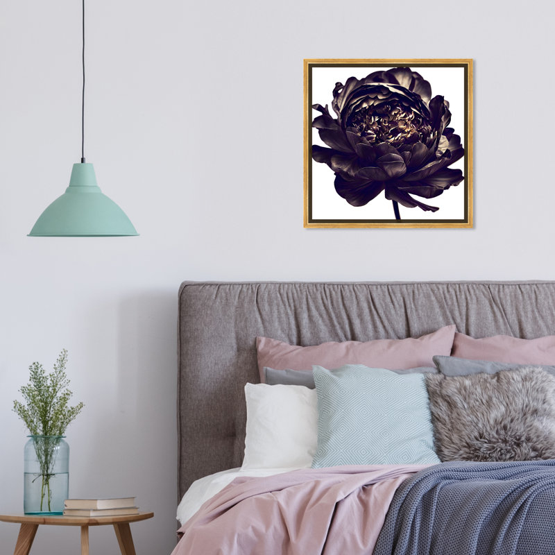 Pivoine noire - Impression sur toile, Encadrement doré, H 17,5 po x l 17,5 po