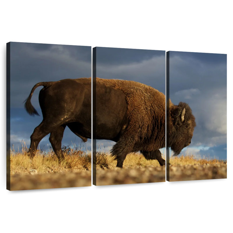 Brampt Walking American Bison, 48" H x 74" W