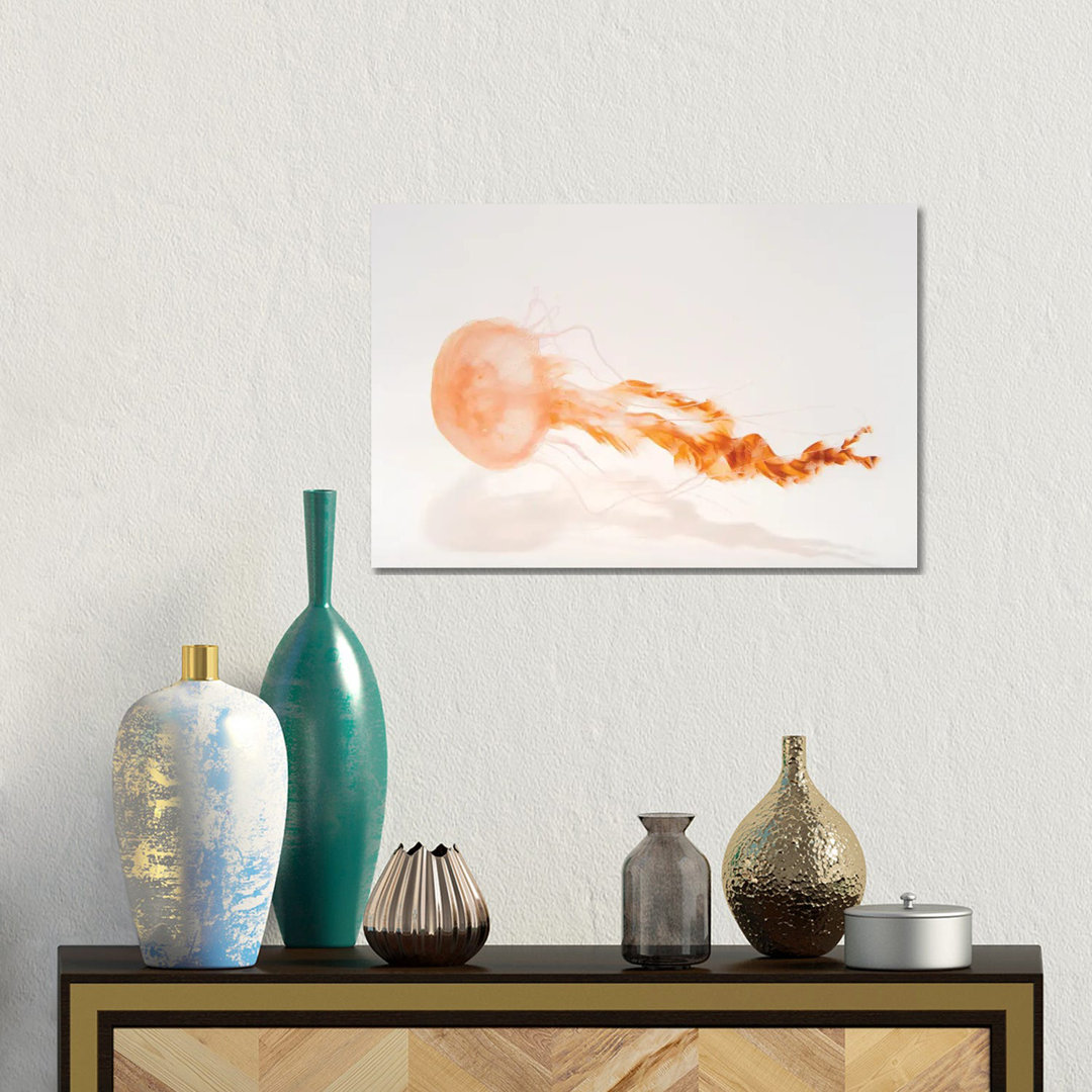 A Black Sea Nettle At The Monterey Bay Aquarium von Joel Sartore - Gallery-Wrapped Canvas Giclée