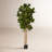 Fiddle Leaf Fig Artificial Tree-260016122