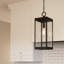  Lanterne suspendue d'extérieur noire à 1 lumière H 20,75 po