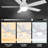 52'' Ceiling Fan with LED Lights-622809622
