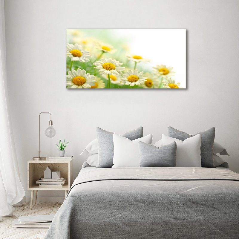 Daisies - Wrapped Canvas Print