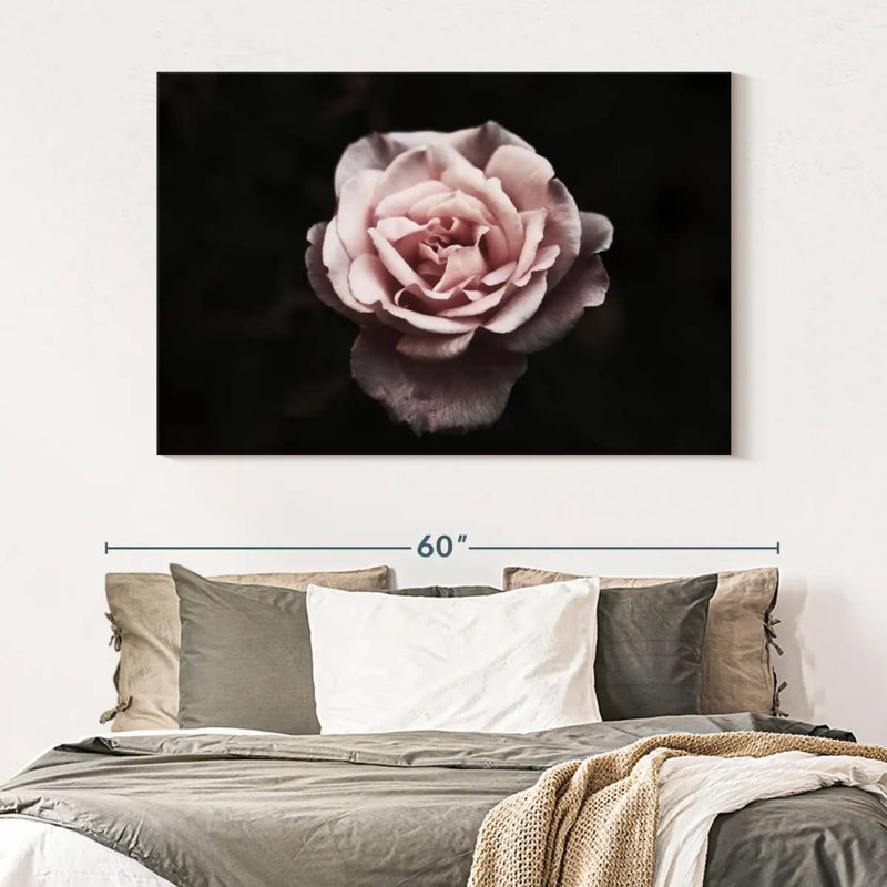 Rose œillet Harnek, H 34 po x l 51 po