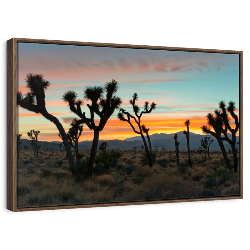 Coucher de soleil sur le parc national de Joshua Tree, Cadre flottant noyer, 43 po x 29 po