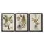 Fern Botanical IV - Ensemble de 3 peintures sur toile encadrées-131489271-131489276