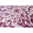 Ayalur Floral Indoor Rug-173320068