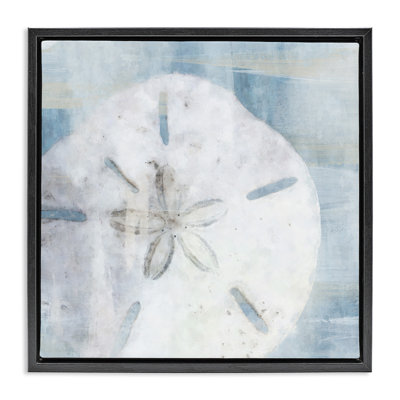 Coquillage bleu pastel