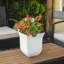 Pot à fleurs en résine Nadja-1708948753-1737541483