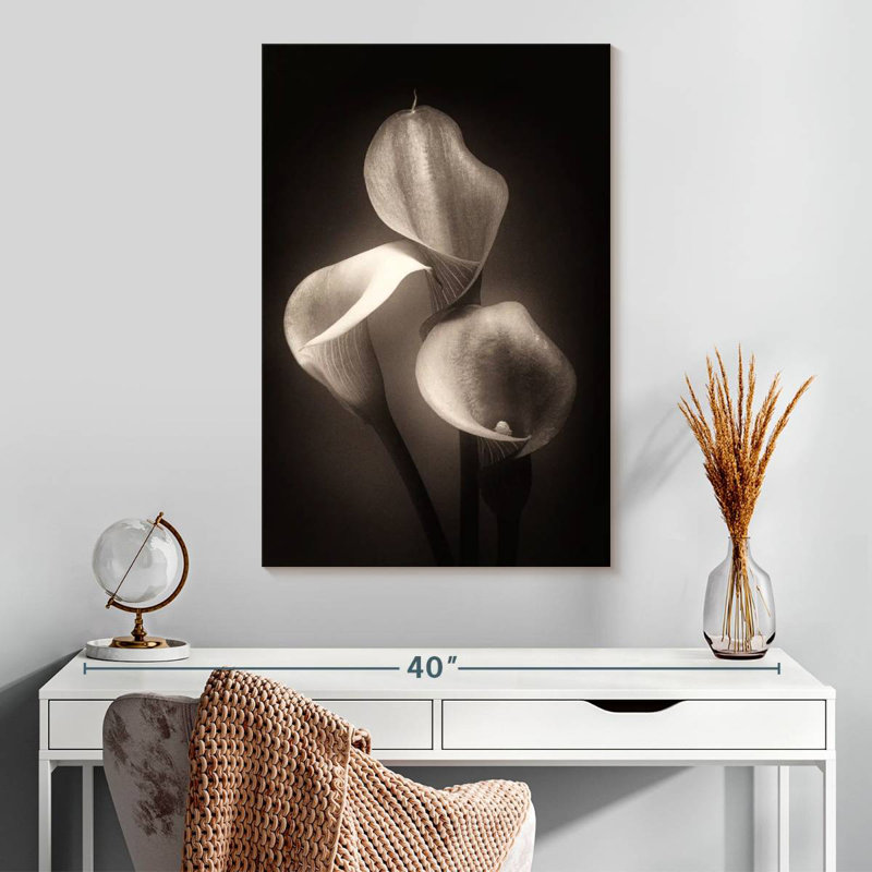 Harnek Calla Lilly Sepia, 30" H x 20" W