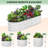 8x2x2 FT Galvanized Raised Beds for Outdoor, Oval Raised Garden Bed with Open Base for Outdoor Vegetables & Flowers, Tool-Free Assembly,Beige-428289662-428289657