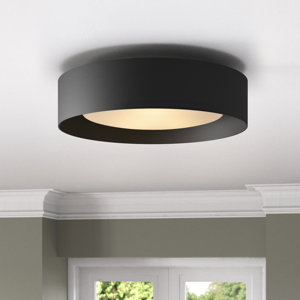 Savita 15.7" Flush Mount (incomplete,glass shade only)