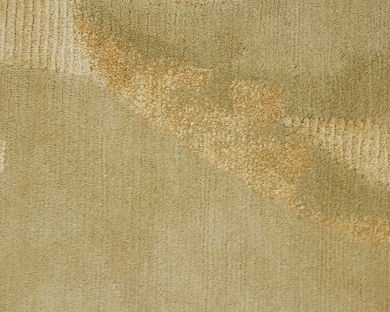 Assumed Damask Area Rug in Gray/Green