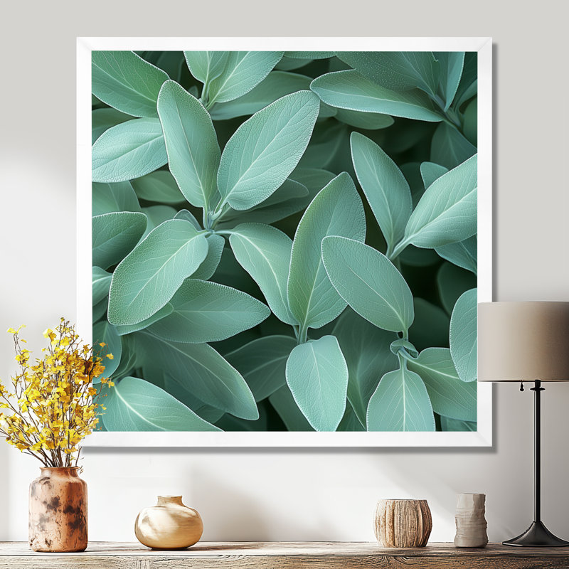 Feuilles de sauge - feuilles, art mural, Reproduction encadrée d'une seule photo, H 16 po x l 16 po, Blanc