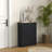 Slim Shoe Cabinet For Entryway, Modern Hidden Shoe Storage Cabinet With 2 Flip Drawers And Adjustable Shelves For 12 Pairs Of Shoes, Black, Shoe Storage-543772623