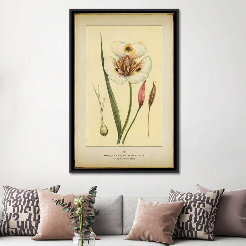 «Mariposa Lily», reproduction sur toile, H 26 po x l 18 po x P 1,5 po, Toile avec cadre noir, Pas de tapis