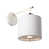 White/Polished nickel