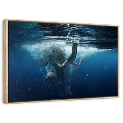 Underwater Elephant