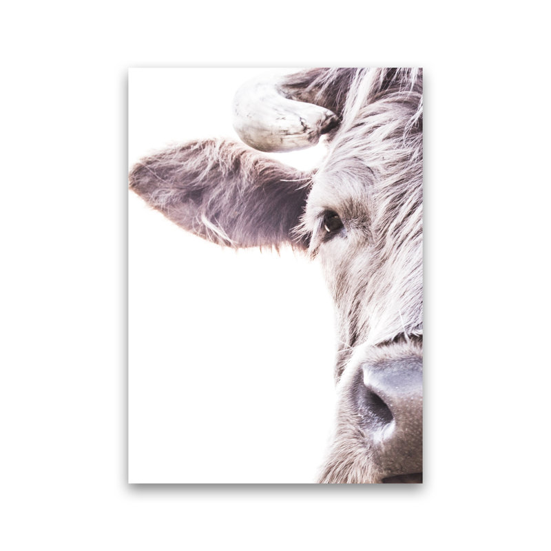 Highlander II by Victoria Frost - Print, Unframed, 84cm H x 60cm W x 1cm D