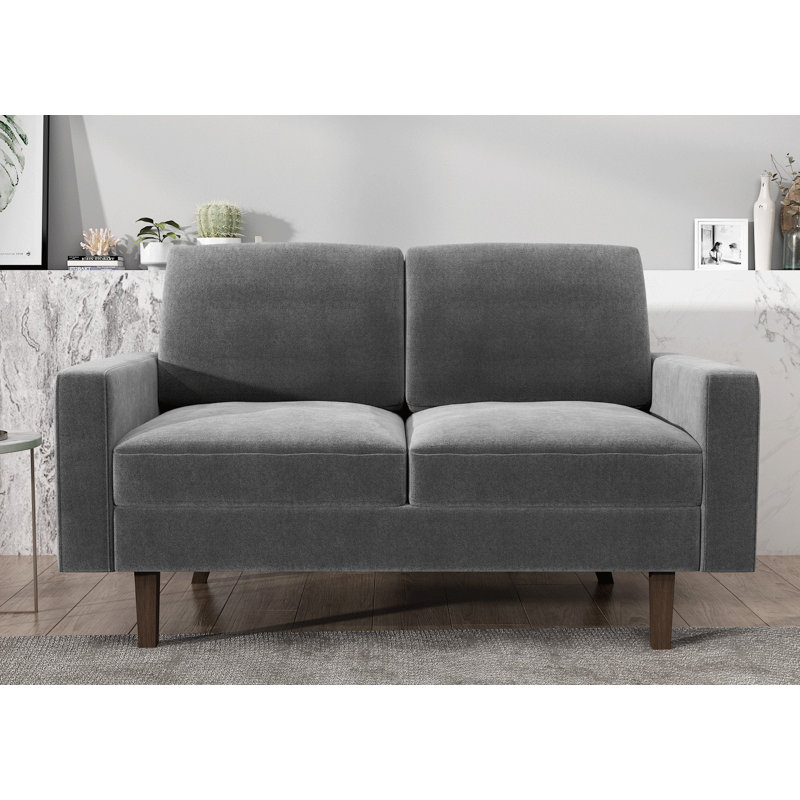 Noreen 57.9'' Velvet Loveseat, Gray Velvet
