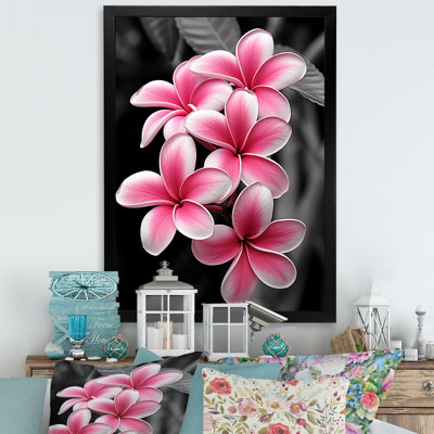 " Plumeria Flower Paradise I "