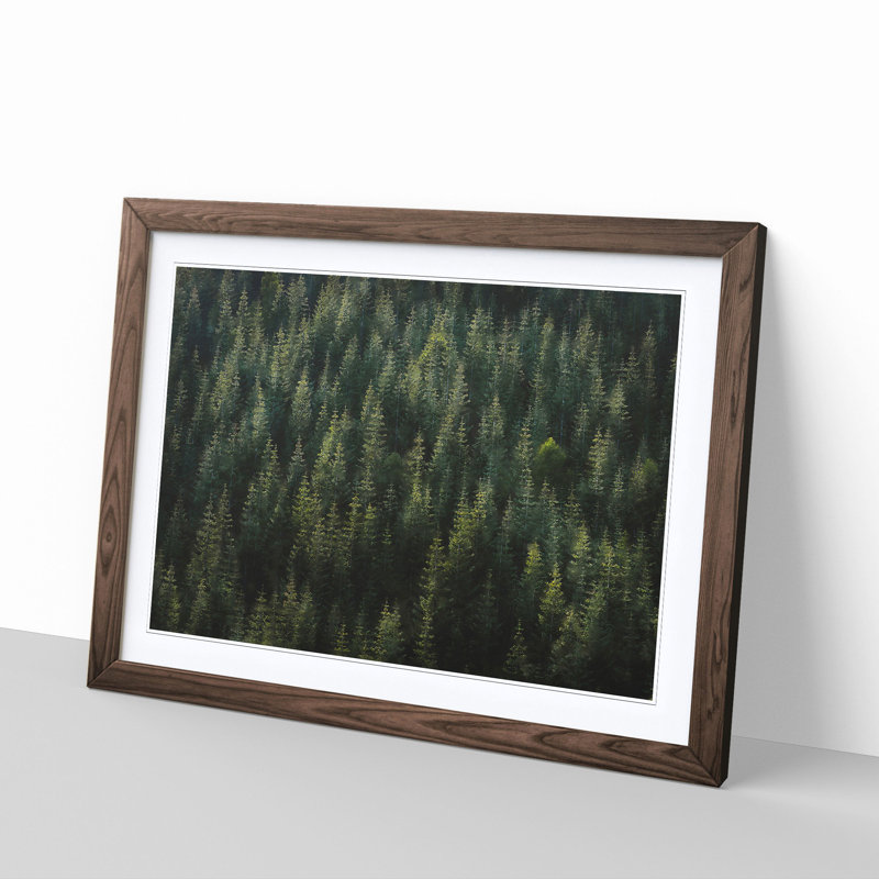 Beauty Of The Pine Tree Forest - Single Picture Frame Painting on MDF, 24cm H x 33cm W x 2cm D, Walnut