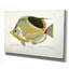 « fish sketch i », impression-28042505-28042507-22188523