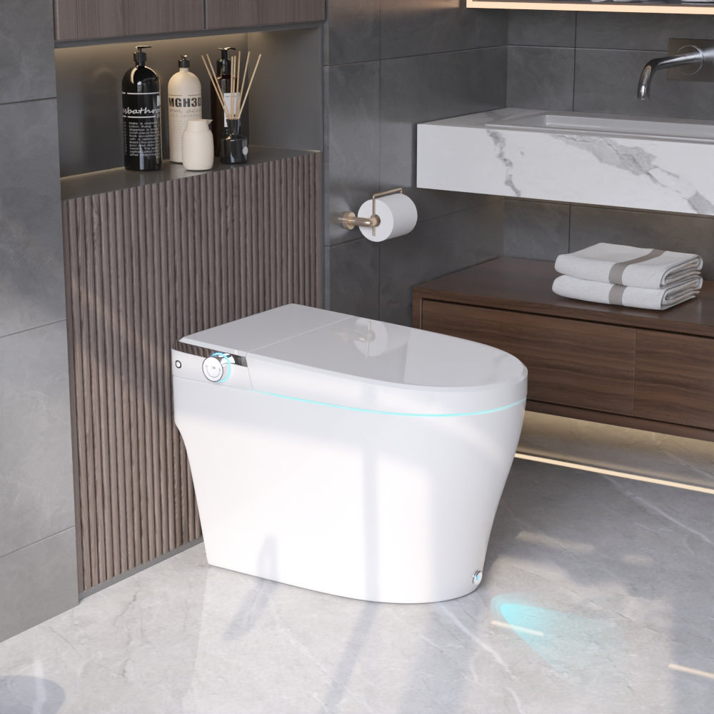 https://assets.wfcdn.com/im/50123123/compr-r85/2549/254910219/smart-bidet-toilet-one-piece-elongated-smart-toilet-with-foot-kick-flush-warm-wash-seat-included.jpg
