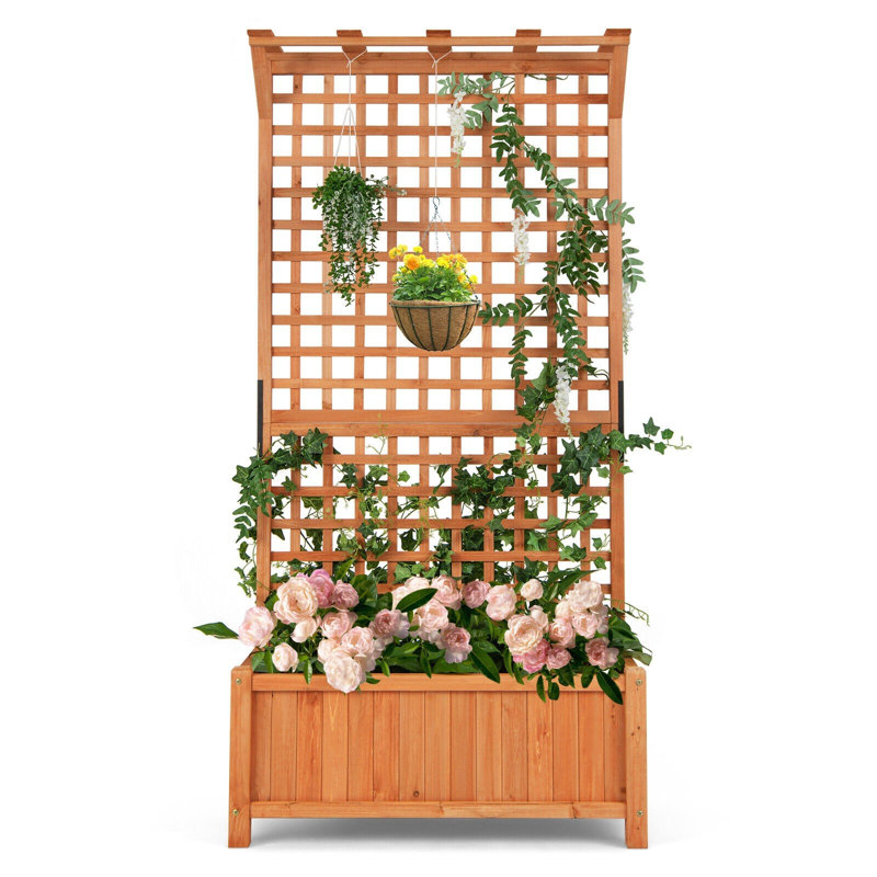 Arya-Jane Wood Raised Garden Bed with Trellis