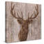 " Majestic Deer " by Tava Studios-64175926-64175931