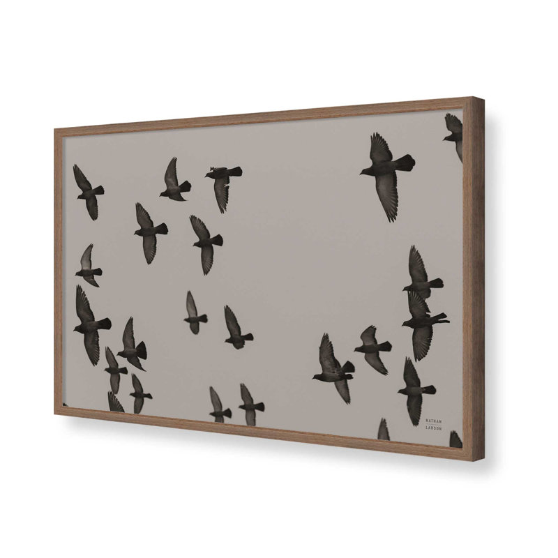 «Flock I» par Nathan Larson, reproduction d'art, Brun, H 20 po x l 30 po