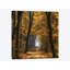 «Speuldimensions», impression sur toile-29039037-72791076-72791083