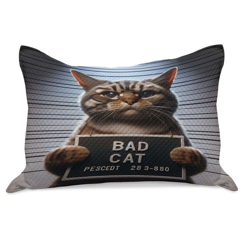 Housse de couette pour chat Ambesonne, H 20 po x l 30 po