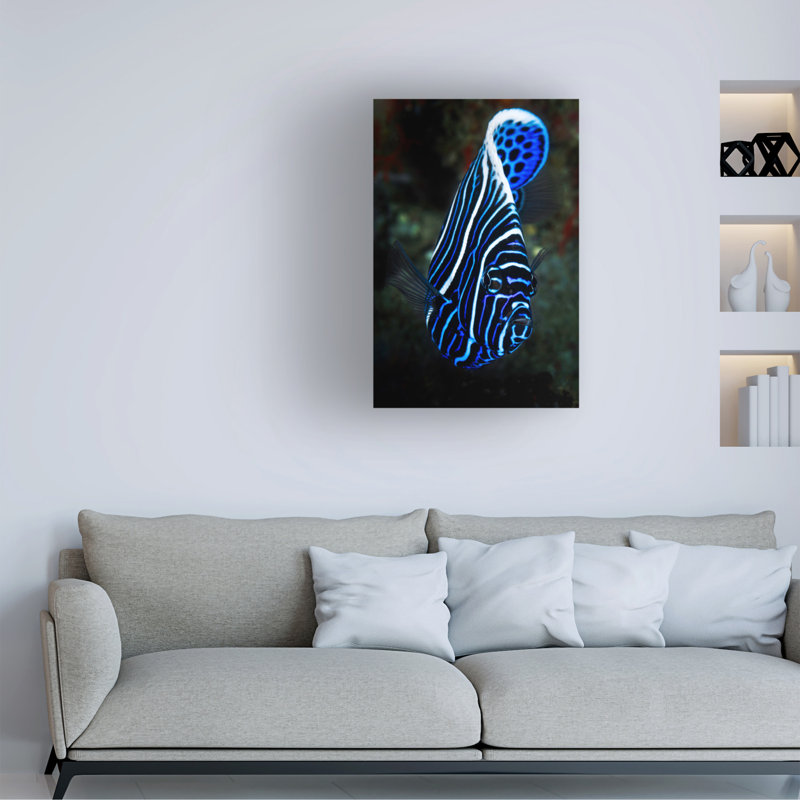 Art sur toile «bolathieu Gabriel empereur angelfish», H 19 po x l 12 po