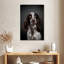 Adorable setter anglais-211660500