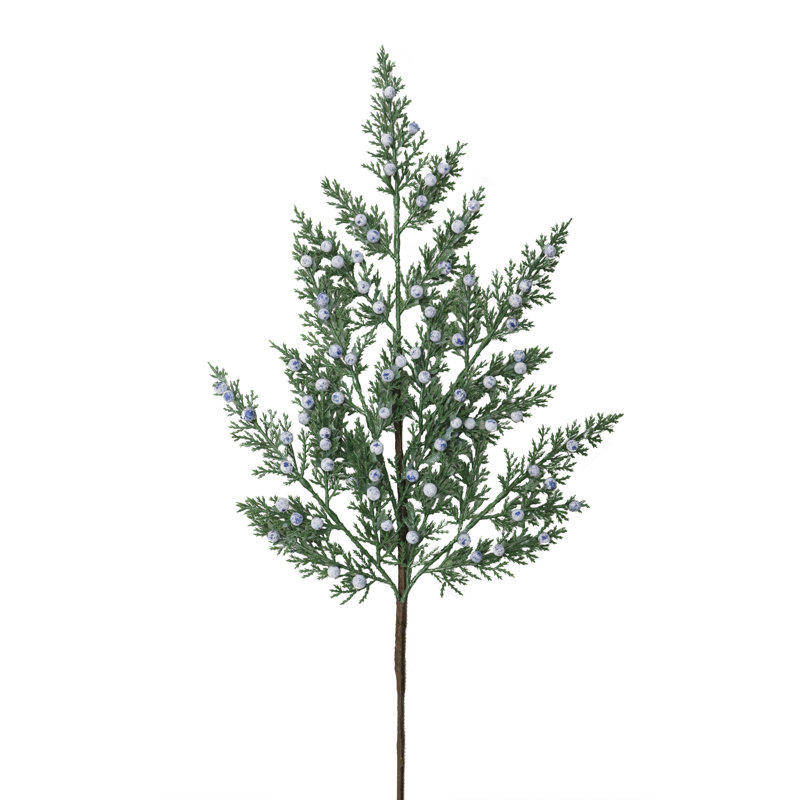 Branche de cèdre 24 pouces Puleo Classic - paquet de 6
