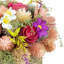 Arrangement mixte en pot
