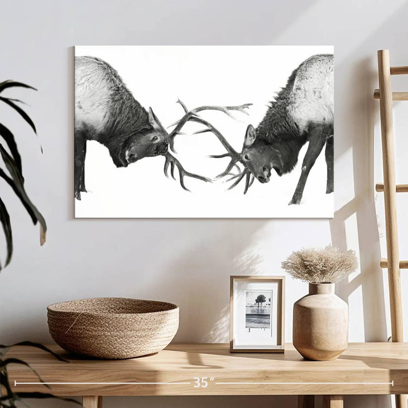 Brampt Fighting Elks, 16" H x 24" W