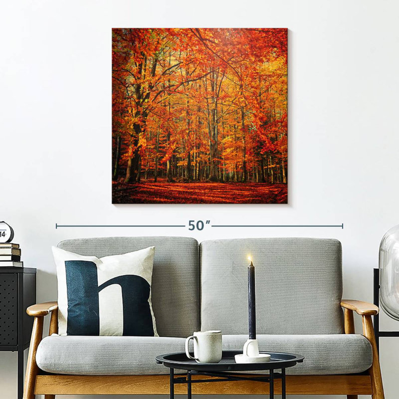 Harnek Stunning Autumn Forest