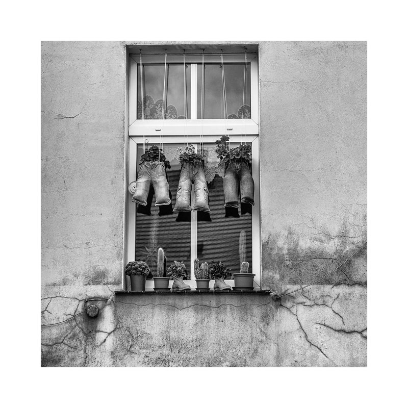 Magic Window by Mikolaj Gospodarek - Wrapped Canvas Print, 30.48 cm H x 30.48 cm W