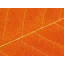Autumn Leaf Print by Philippe Monthoux-65809640-132456988